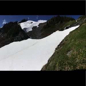 Meet your Posher, Carly